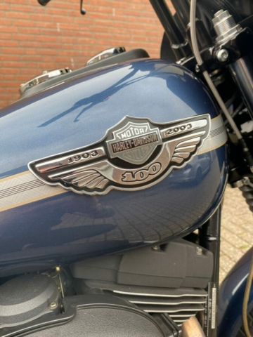 stefanhead harley davidson usate rimini