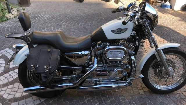 stefanhead harley davidson usate rimini