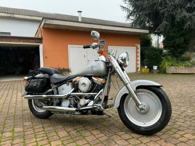 stefanhead harley davidson usate rimini